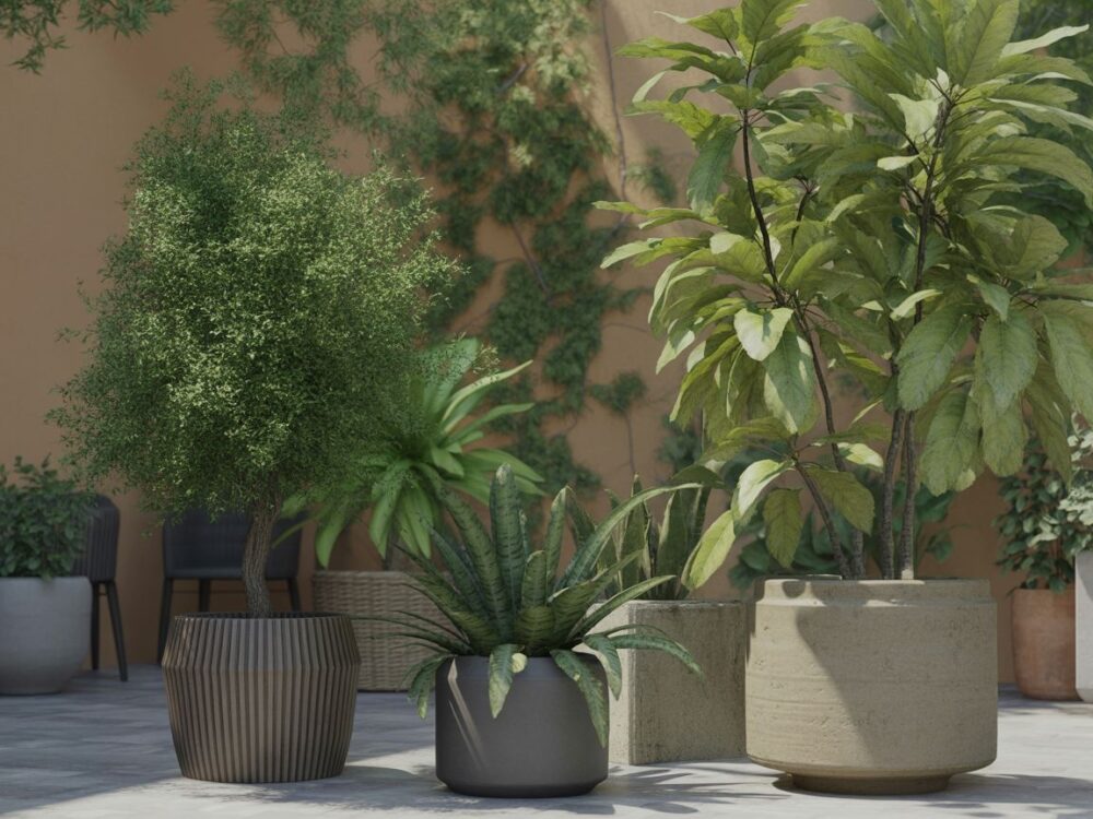 drzewka w donicach na tarasie