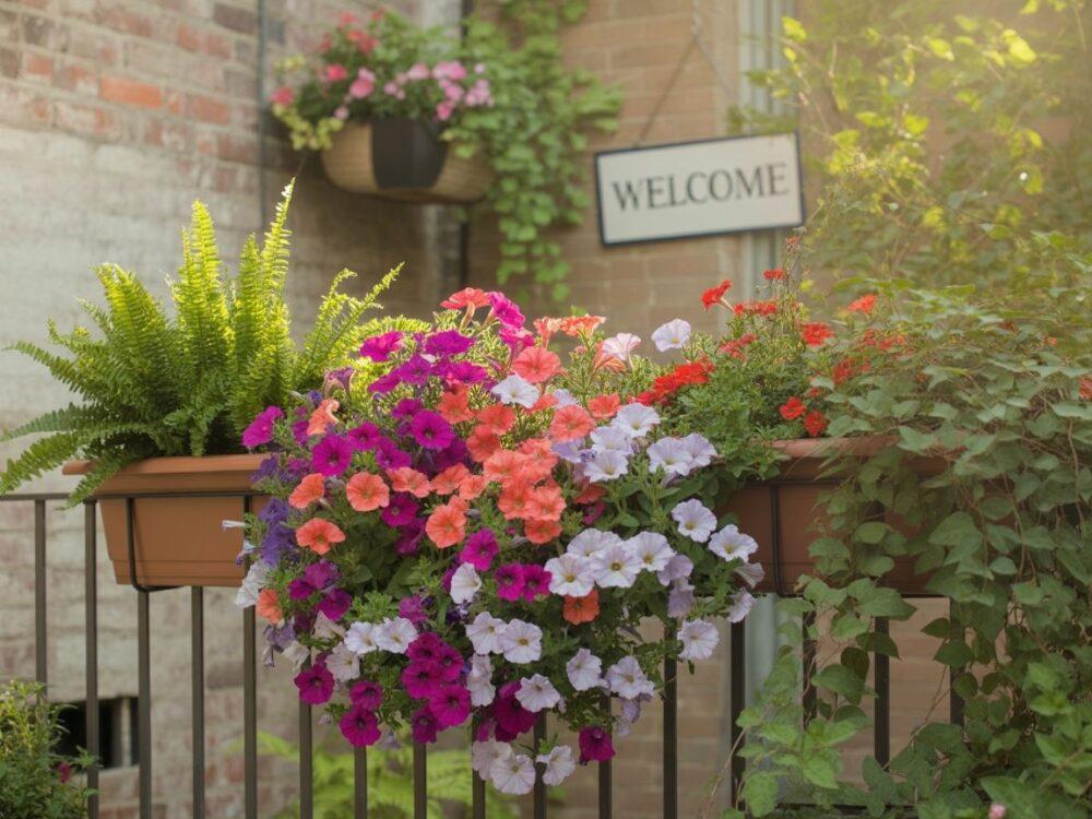 początek sezonu ogrodniczego