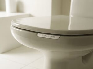 trwała deska sedesowa